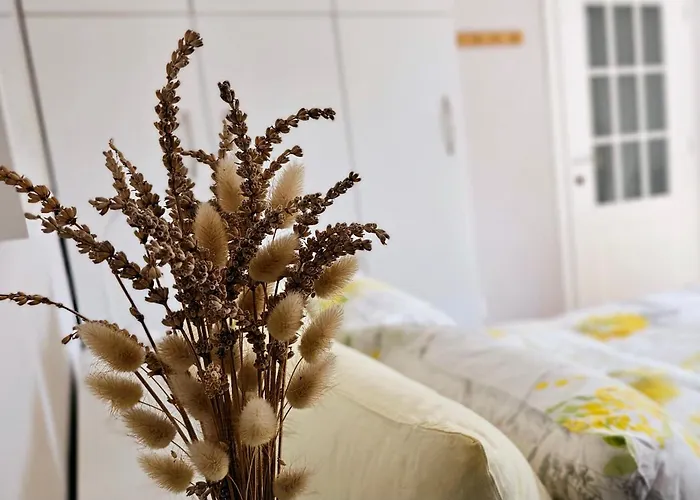 Lejlighed Nuci's Place Lovely With Balcony 15 Min From Blloku *