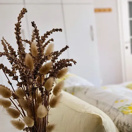 Апартаменты Nuci's Place Lovely With Balcony 15 Min From Blloku *